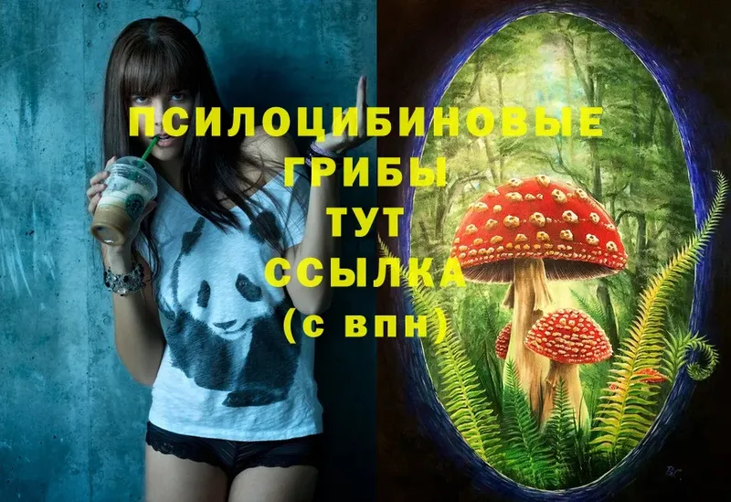 Псилоцибиновые грибы MAGIC MUSHROOMS  где продают   kraken как войти  Омск 